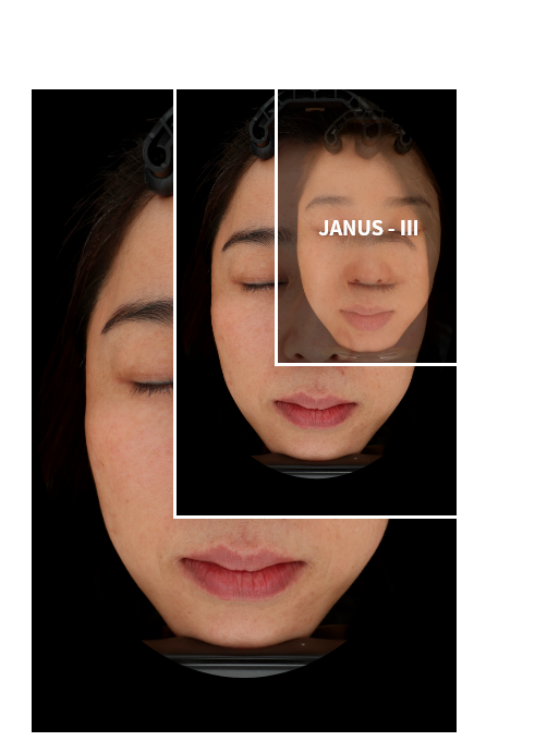 JANUS Pro에서 촬영된 고해상도 이미지