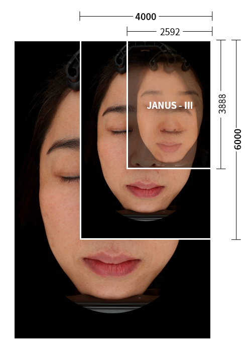 JANUS Pro에서 촬영된 고해상도 이미지